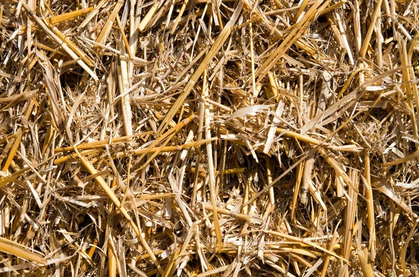 View to straw closeup as background — Stock Photo, Image