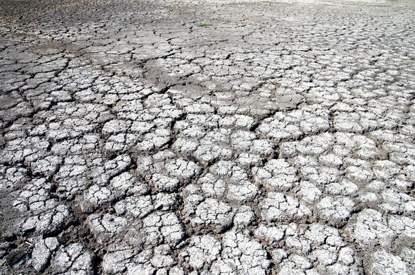 stock image Dry cracked earth