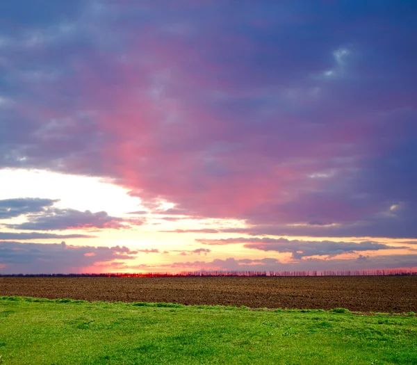Zachód słońca nad łąka — Zdjęcie stockowe