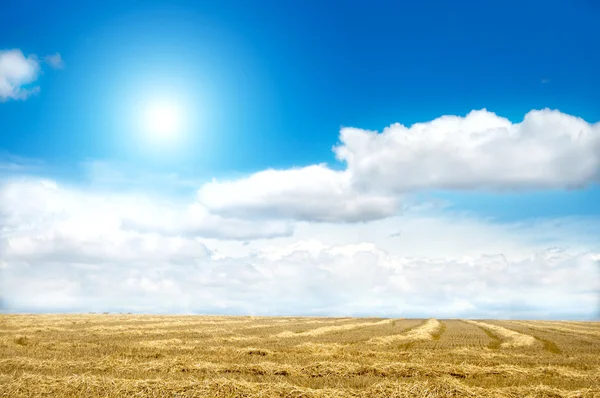 Хороший пейзаж с солнце и облака — стоковое фото