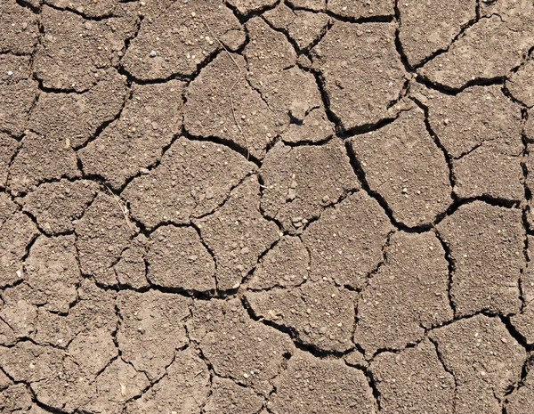 Сухий ґрунт з тріщинами — стокове фото