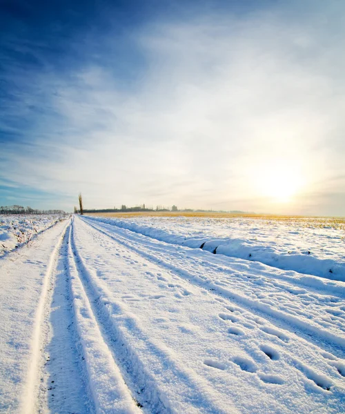 Camino rural bajo la nieve —  Fotos de Stock