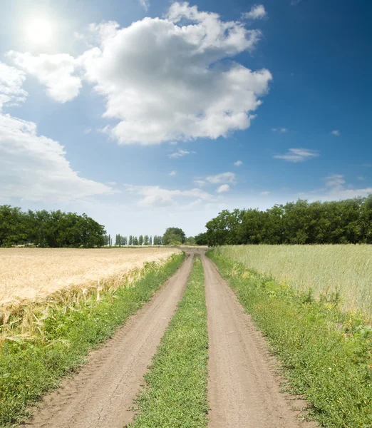 Estrada entre campos — Fotografia de Stock