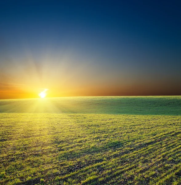 Sunset over green field — Stock Photo, Image