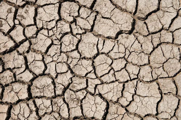 乾燥した地球のテクスチャ — ストック写真