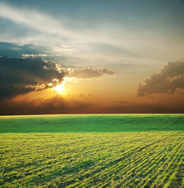 Zielone pole i zachód słońca — Zdjęcie stockowe