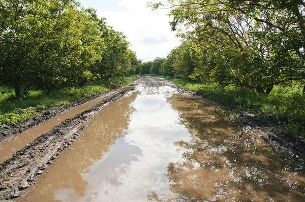 Road with big puddle — Foto Stock