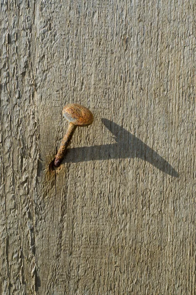 stock image Surface of board