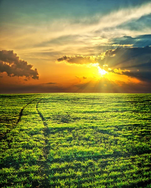 Gün batımı yeşil alanda — Stok fotoğraf