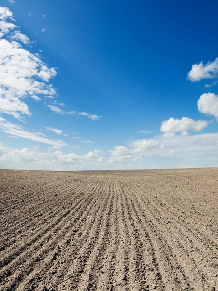 Ploughed field — Stock Photo, Image