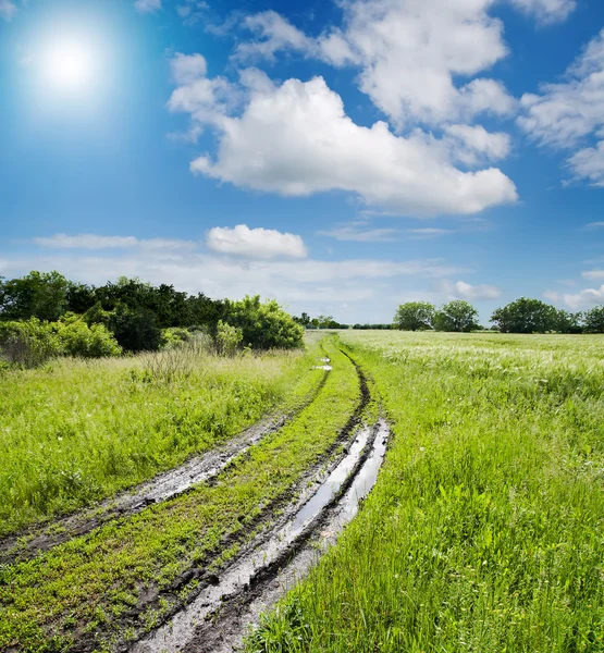 Camino rural en campo verde — Foto de Stock