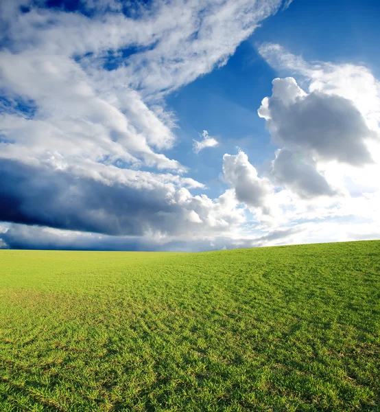 푸른 풀 이 있는 밭 — 스톡 사진