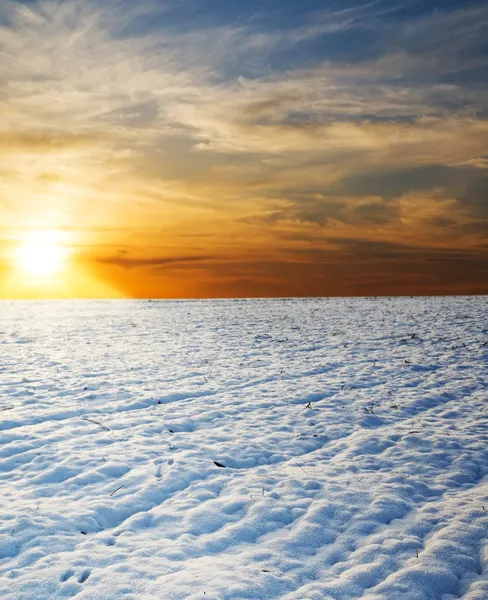 Coucher de soleil sur le champ de neige — Photo