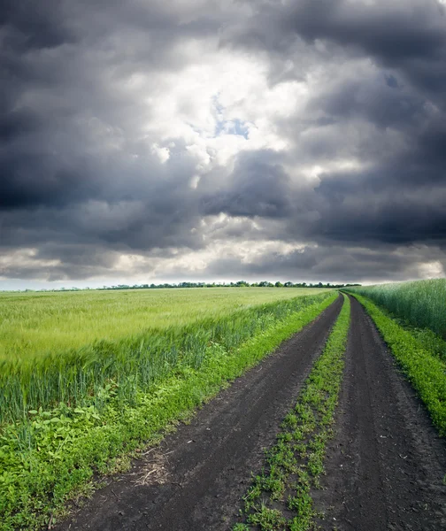 Rural road in green field — Stock Photo, Image