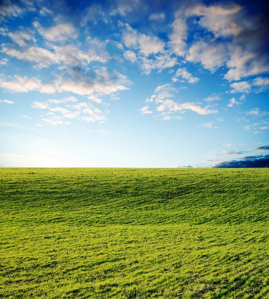 Groene landbouwgebied — Stockfoto