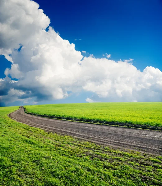 Грязная дорога в зеленом поле — стоковое фото