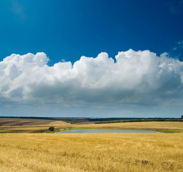 Сельской местности с прудом — стоковое фото