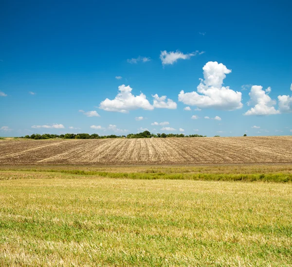 Ploughed and green fields — Stock Photo, Image