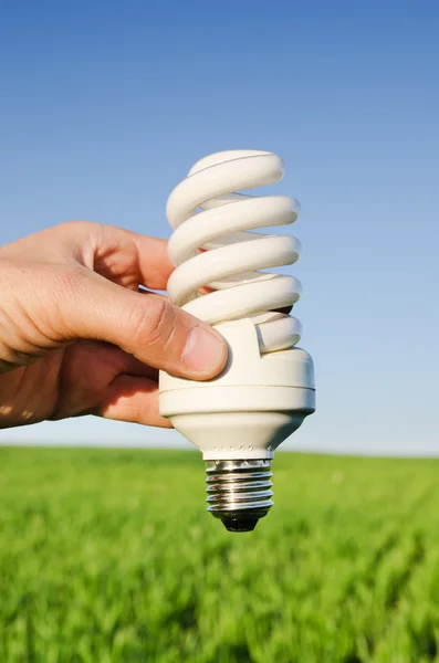 에너지 절약 램프 — 스톡 사진