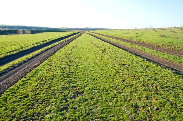 Twee landelijke weg in groene veld — Stockfoto