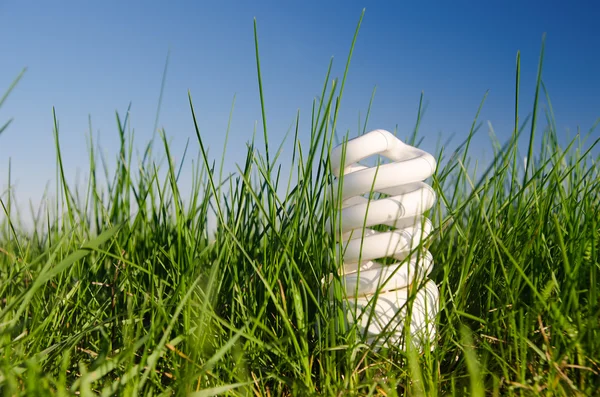 stock image Lamp in green grass