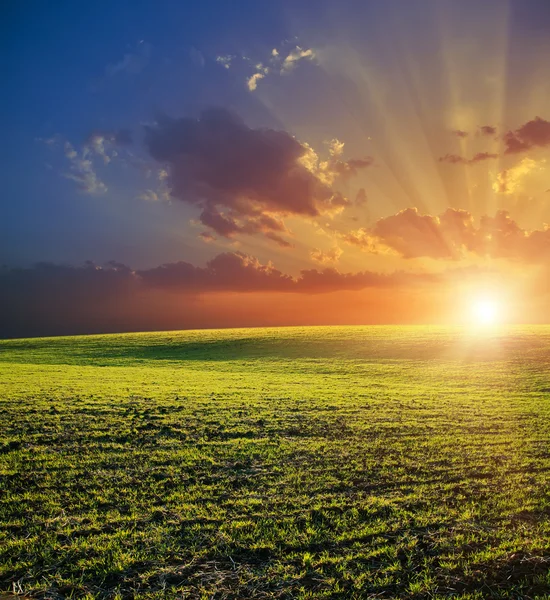 Jordbruksområdet och solnedgång — Stockfoto