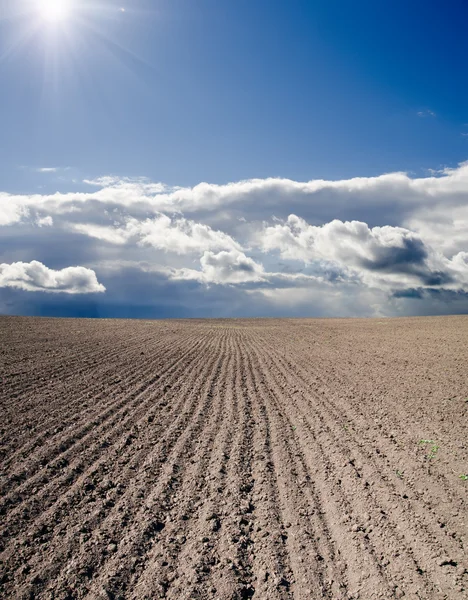 Black ploughed field — Stock Photo, Image