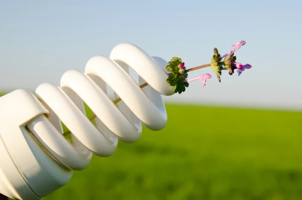 Lampe à économie d'énergie — Photo