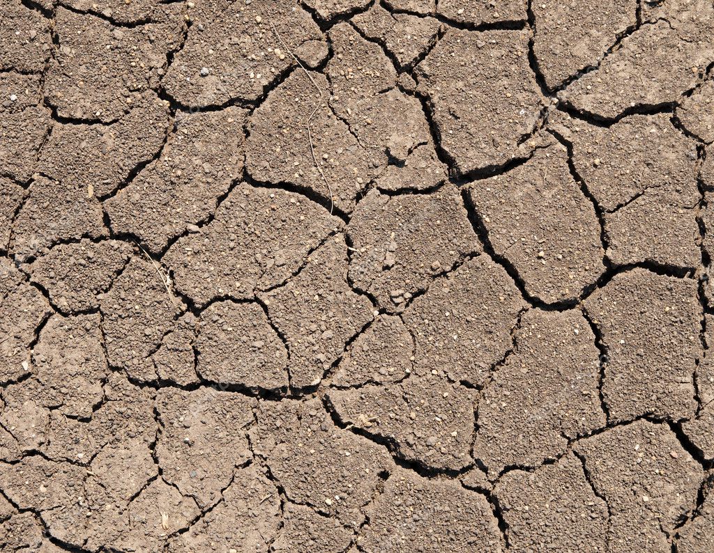 Dry soil with cracks — Stock Photo © mycola_adams #5582368