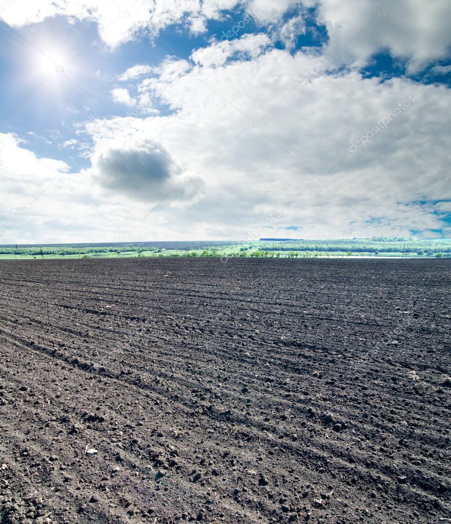 Black ploughed field