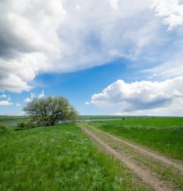 kırsal yol