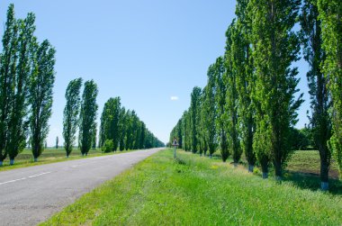 kırsal yol