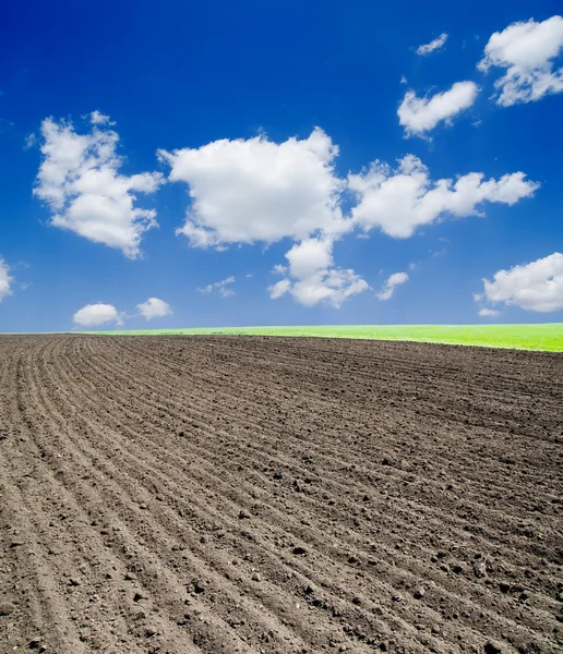 Agricultural black field — Stock Photo, Image