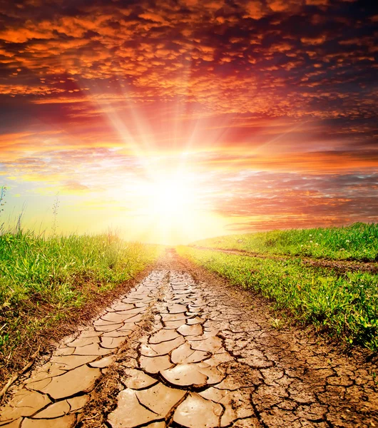 Sunset over cracked rural road — Stock Photo, Image