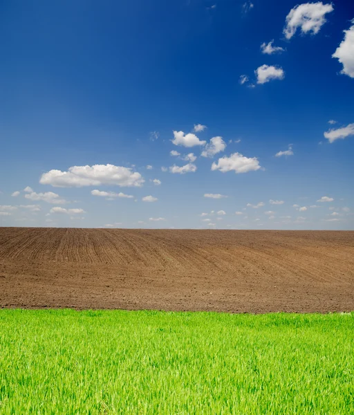 Agricultural green and black field — Stock Photo, Image