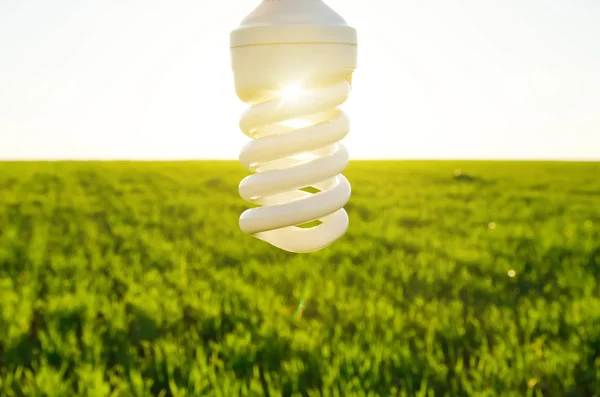Energy saving lamp over field — Stock Photo, Image