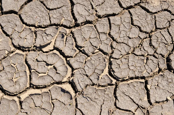 Terra seca rachada — Fotografia de Stock