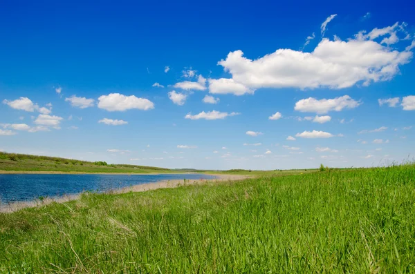 River in green grass — Stock Photo, Image