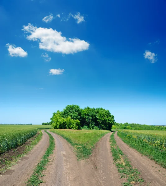 Two rural road — Stock Photo, Image