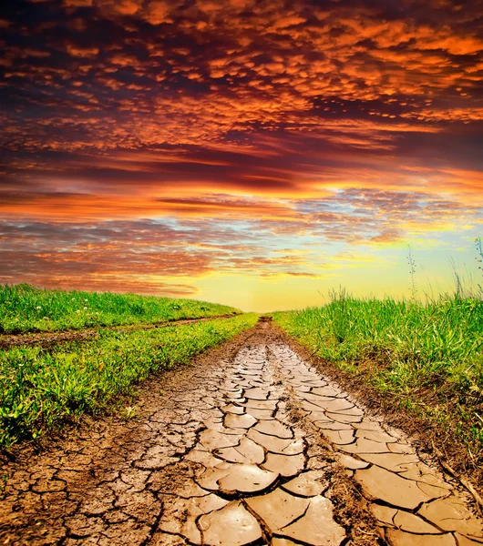 stock image Cracked rural road