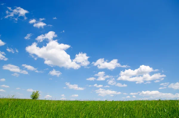 Σύννεφα και πράσινο γρασίδι — Φωτογραφία Αρχείου