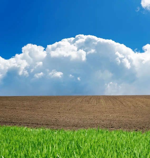 stock image Rural landscape