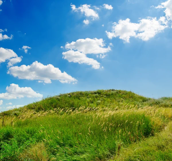 Groene gras en diepblauwe hemel — Stockfoto