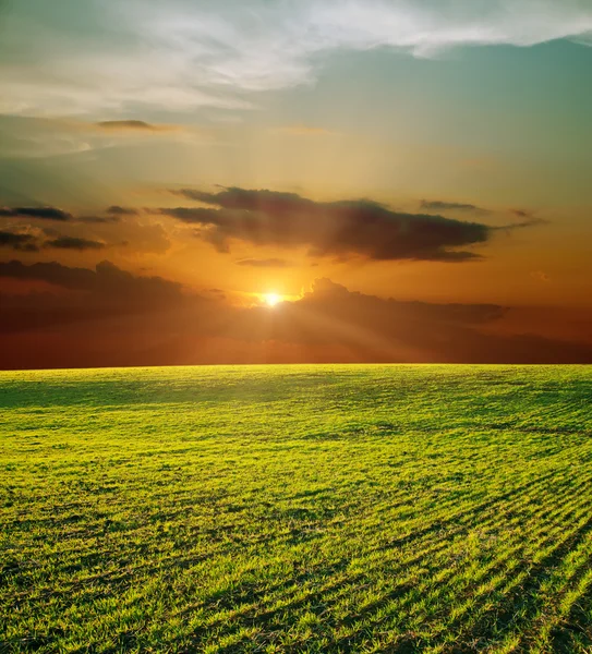 Zielone pole i zachód słońca — Zdjęcie stockowe