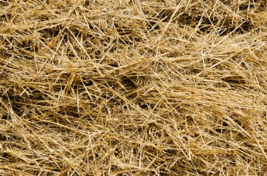 Straw as background clipart