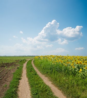 yol alanında