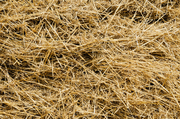 Straw as background