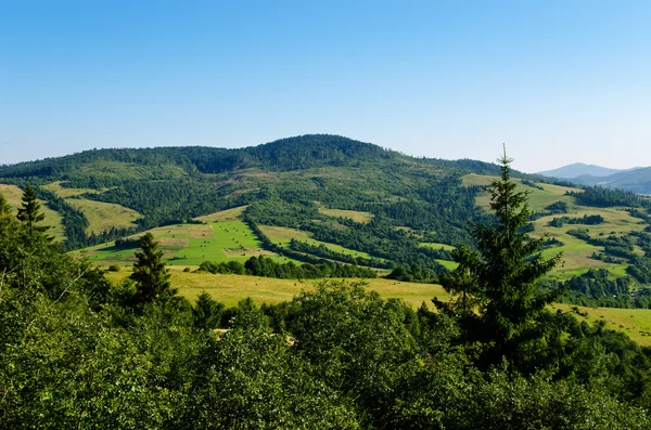 Yeşil dağ manzarası — Stok fotoğraf