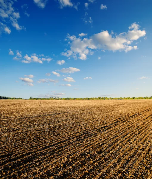 stock image Black ploughed field
