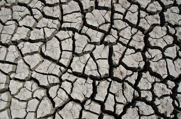 Dry earth — Stock Photo, Image